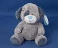 Blue Nose Dog 8
