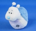 Blue Nose Snail