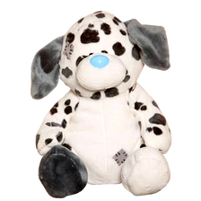 Blue Nose Dalmation
