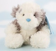 Fluffy the Blue Nose Sheepdog