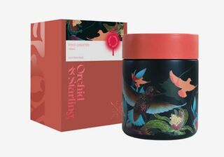 Flox Food Canister   Orchid Starling