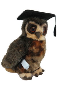 Graduation Morepork