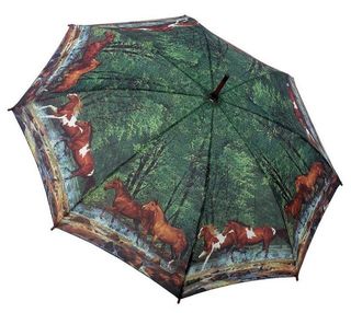 Horse Umbrella Spring Creek Run