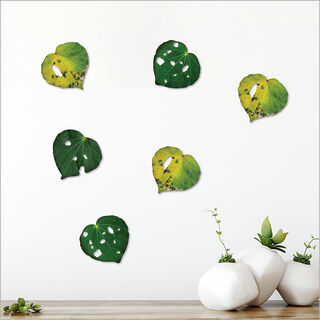 Kawakawa Leaves Set