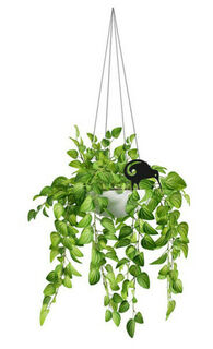 Kiwi Mini Garden Stake