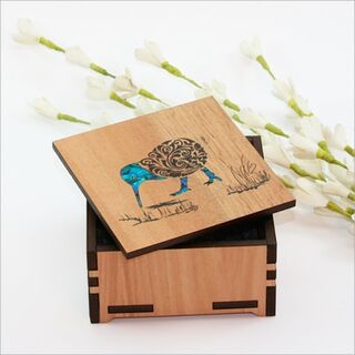 Kiwi Trinket Box