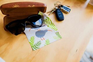 Lens Cloth Kiwis