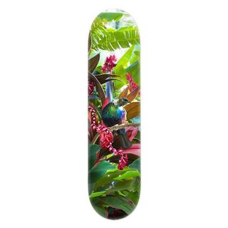 Lucy G Tui Skateboard Deck