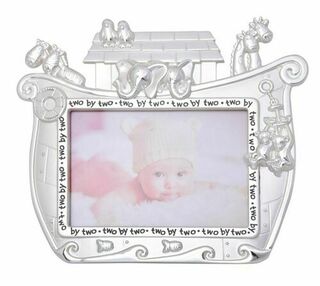 Noah's Ark Frame