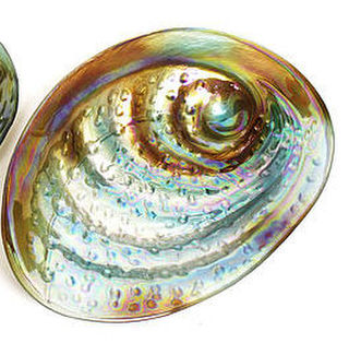 Paua Glass Bowl