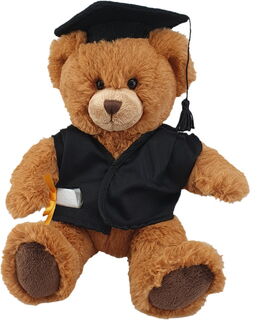 Graduation Teddy Bear
