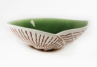 Nautilus Bowl Green by Royce McGlashen