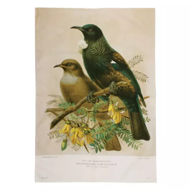 Bullers Bird Tui Tea Towel