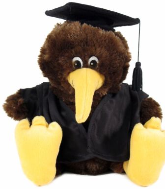 Graduation Kiwi Toy