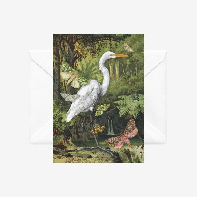 Heron Card by Tanya Wolfkamp