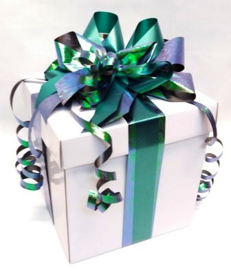 Paua Gift Box