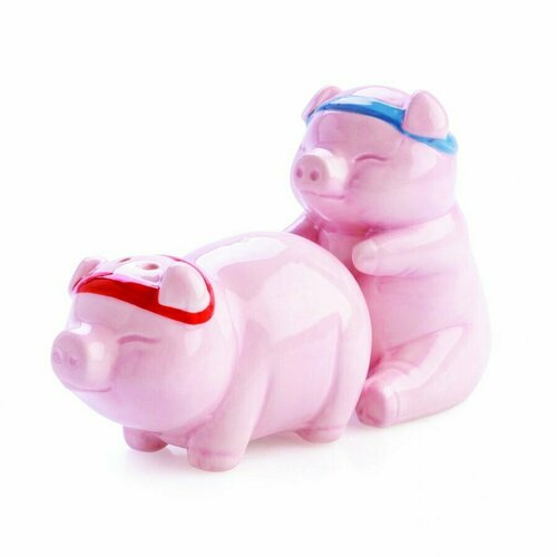 Rude Pigs Salt and Pepper Set