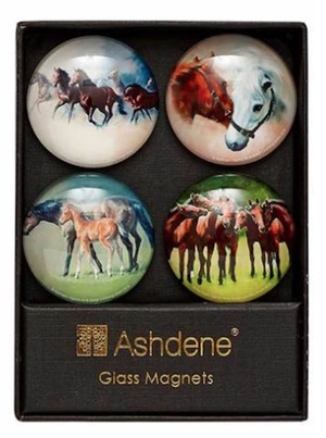 Set of 4 Glass Horse Magnets