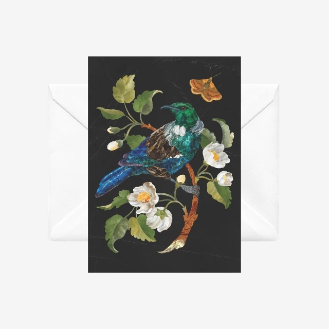 Tui Card by Tanya Wolfkamp