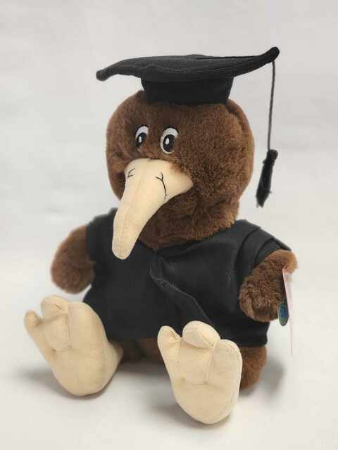 Graduation Kiwi Toy