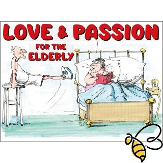 Love and Passion for the Elderly Book